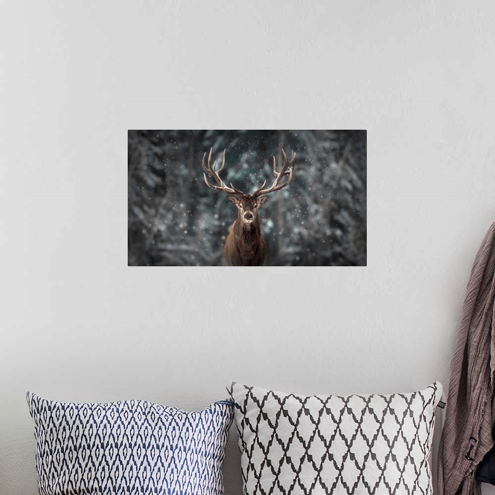 A bohemian room featuring Deer King