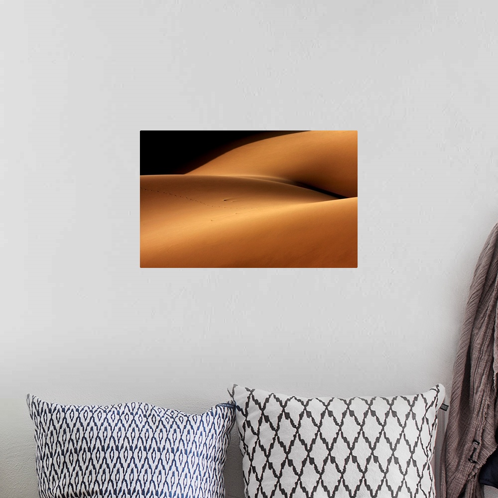 A bohemian room featuring Desert And The Human Torso