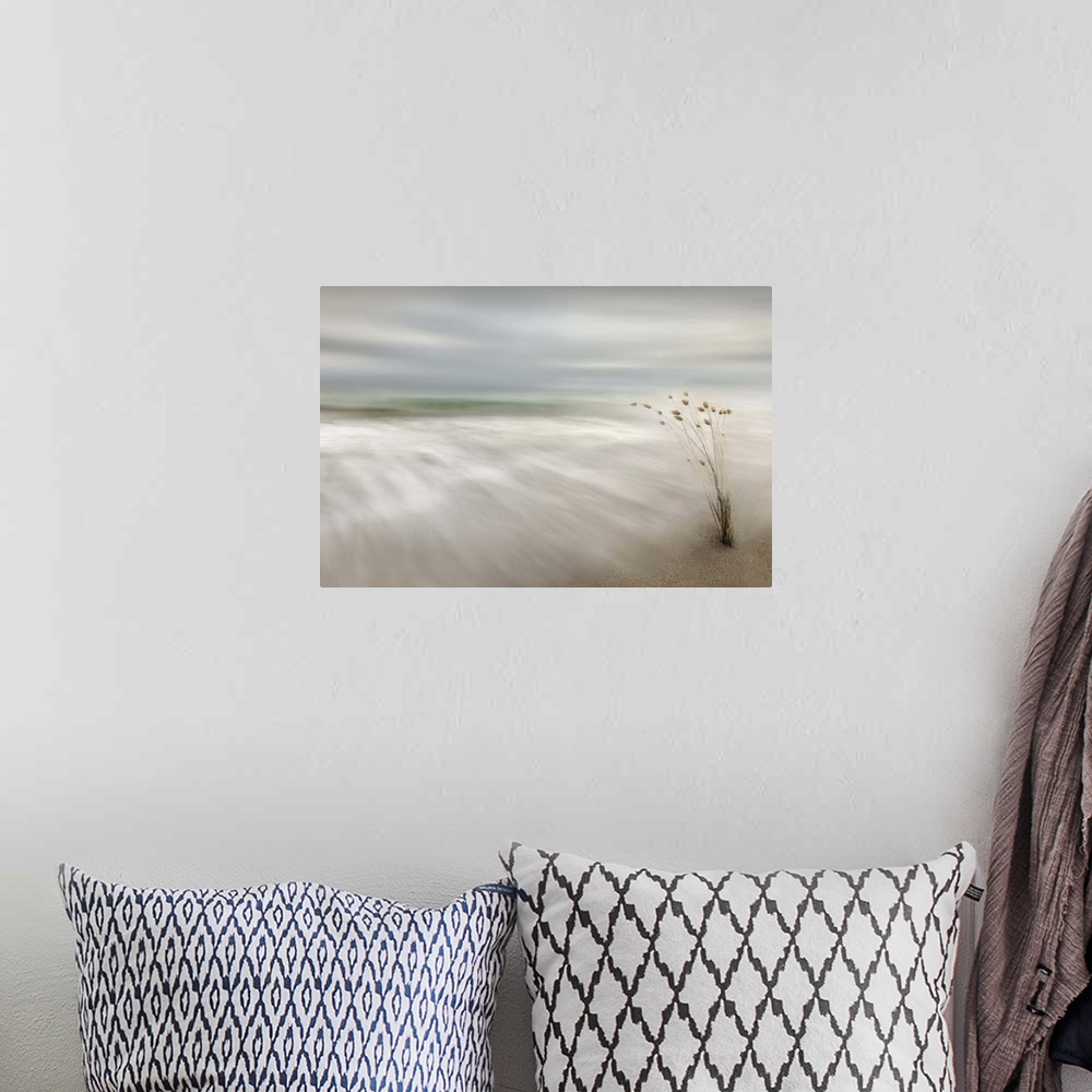 A bohemian room featuring Smooth small waves washing up on shore of a calm beach.