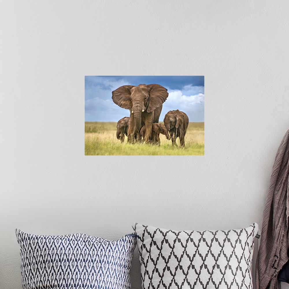 A bohemian room featuring Elephant Mom Protecting Her Calves