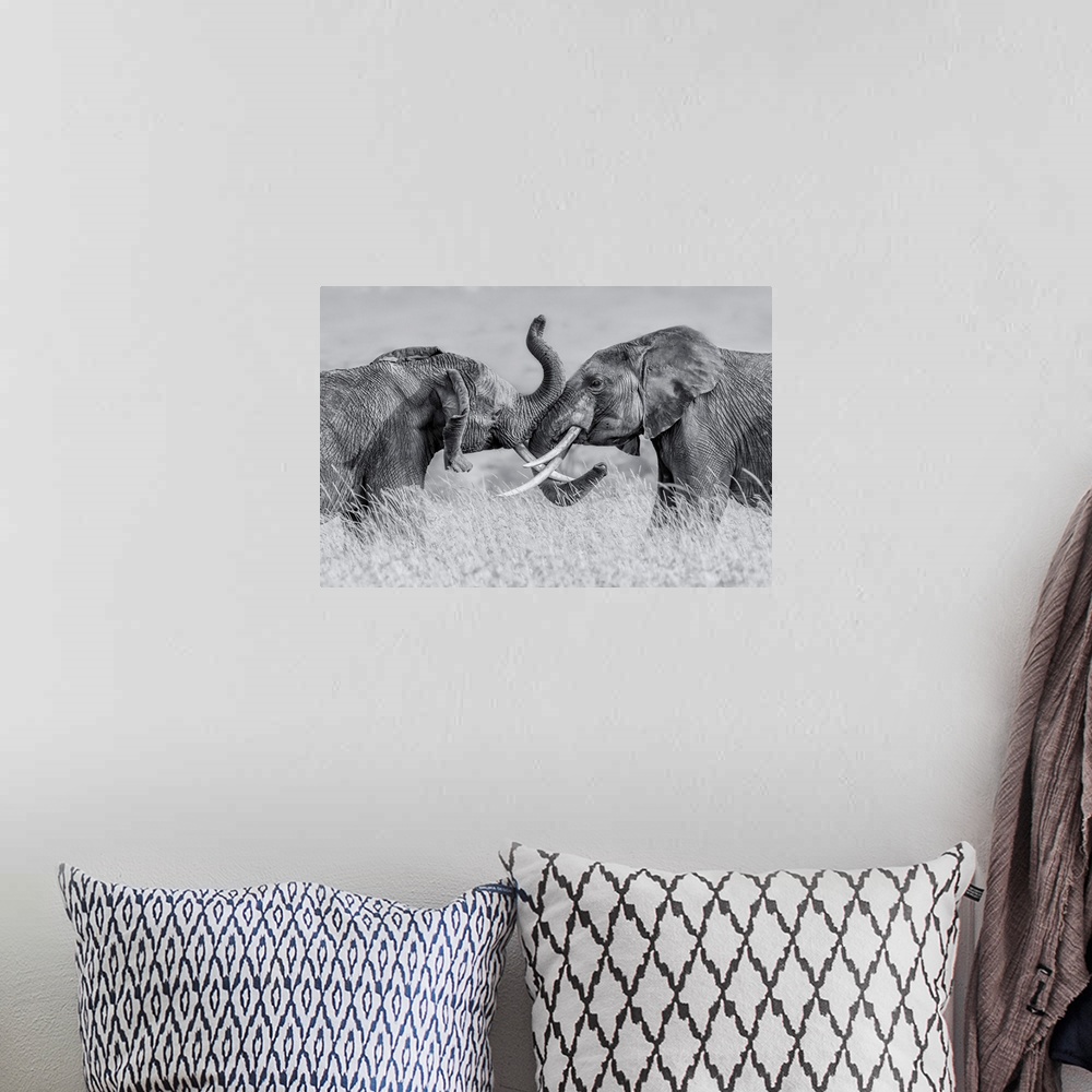 A bohemian room featuring Elephant Qtai Chiq