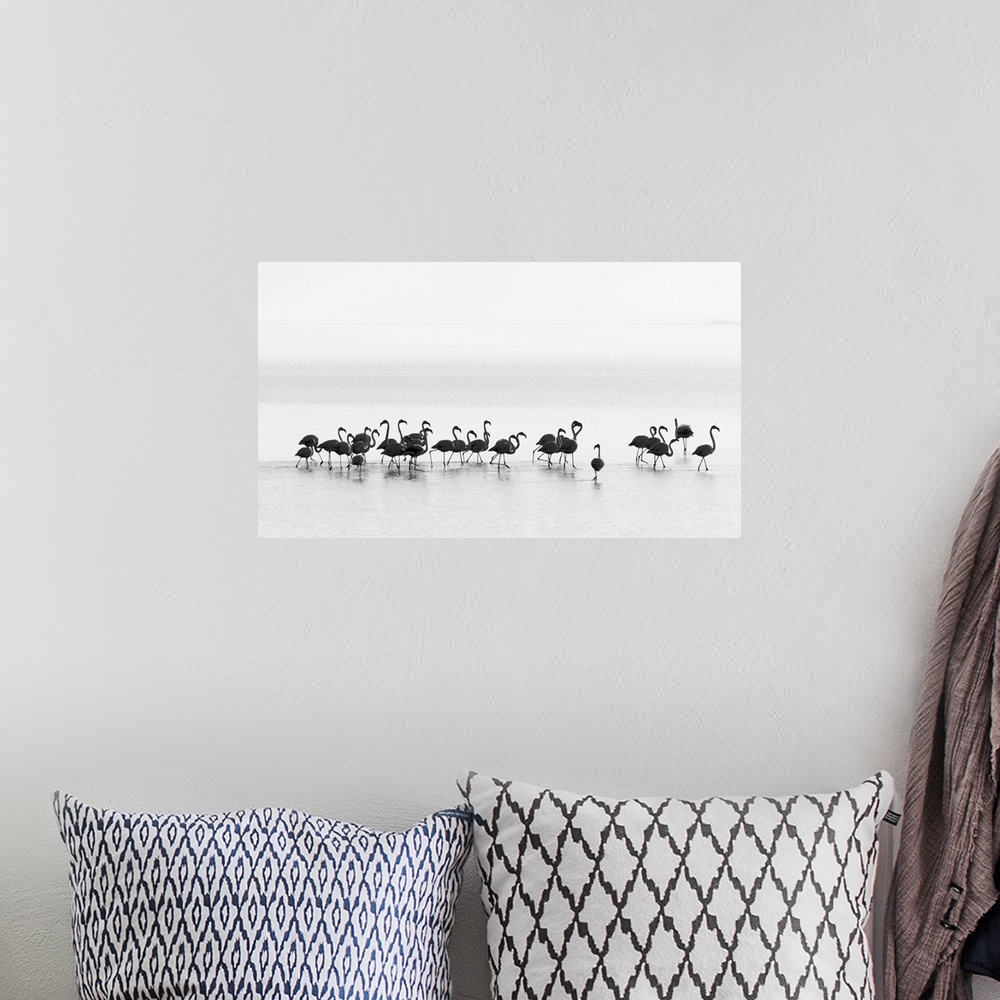 A bohemian room featuring A black and white photograph of flamingos standing around in water.