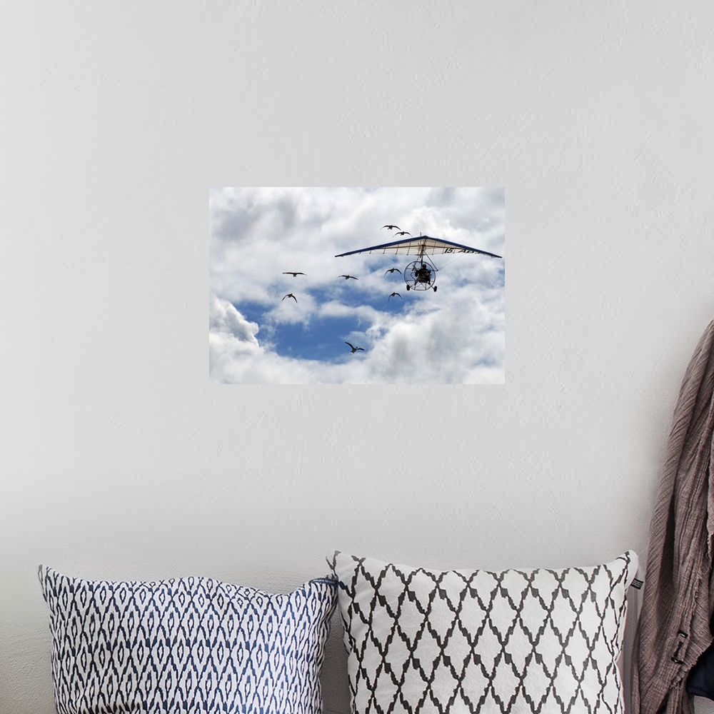 A bohemian room featuring A flock of geese following a powered hang glider in the sky.
