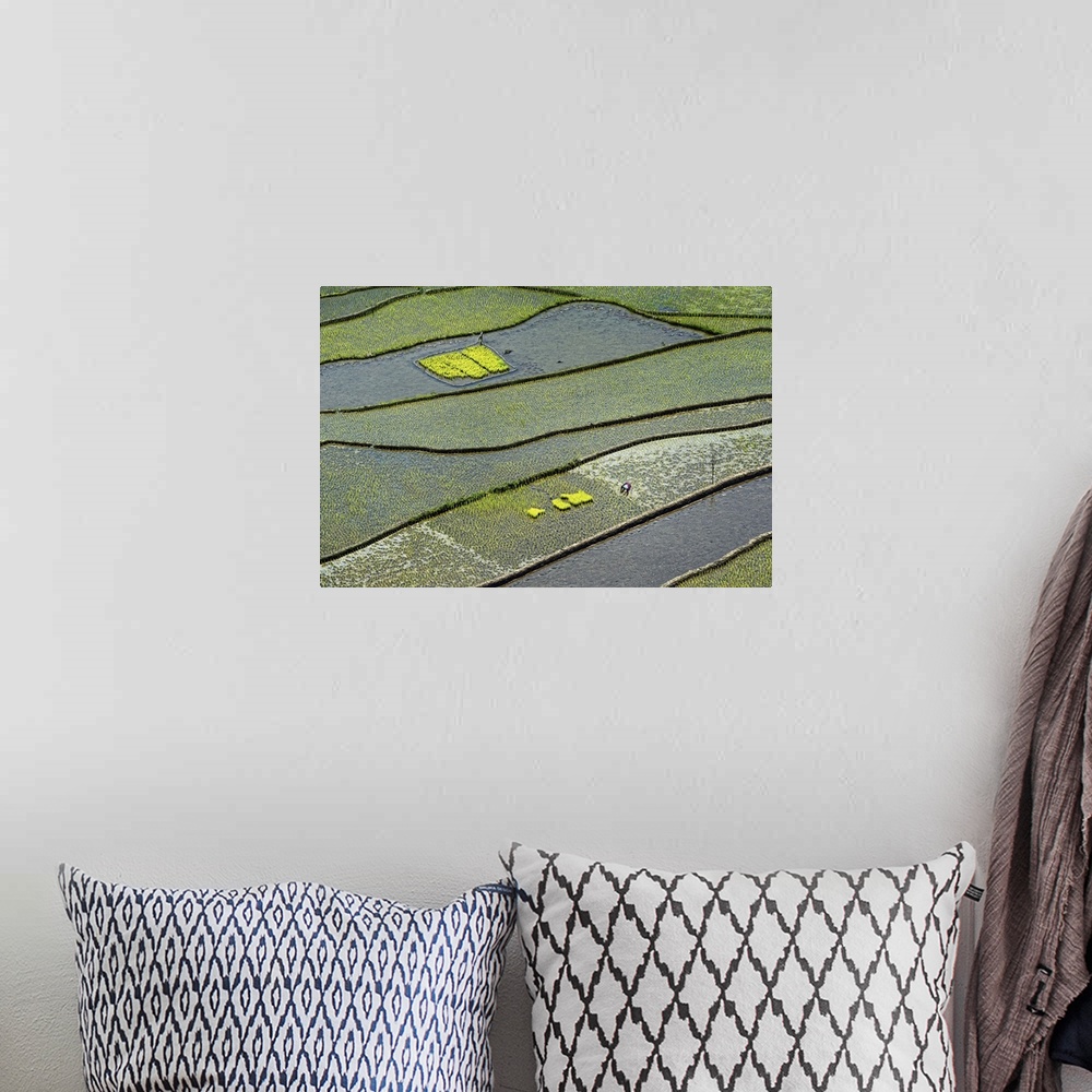 A bohemian room featuring Aerial view of rice paddies in a field, flooded with water.