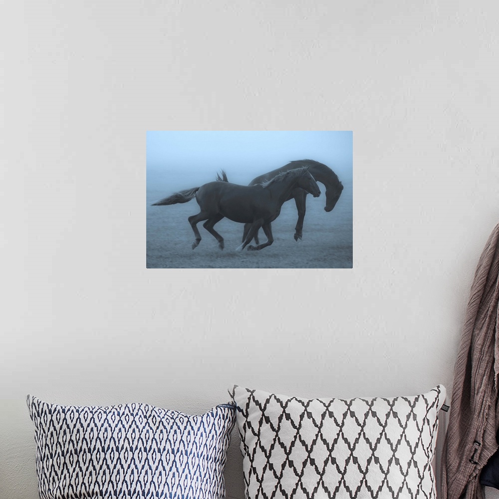 A bohemian room featuring Two horses running and bucking in a misty field in the early morning.