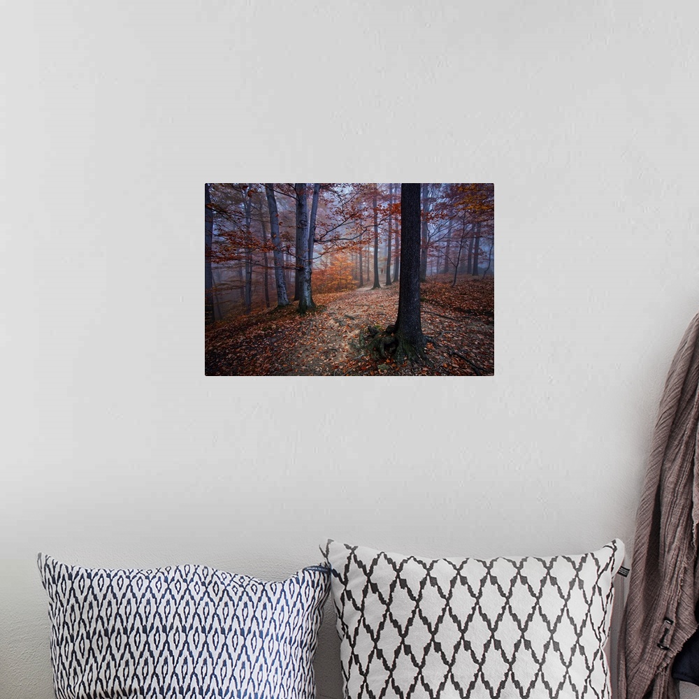 A bohemian room featuring A dark forest in the fall with leaves all over the ground.