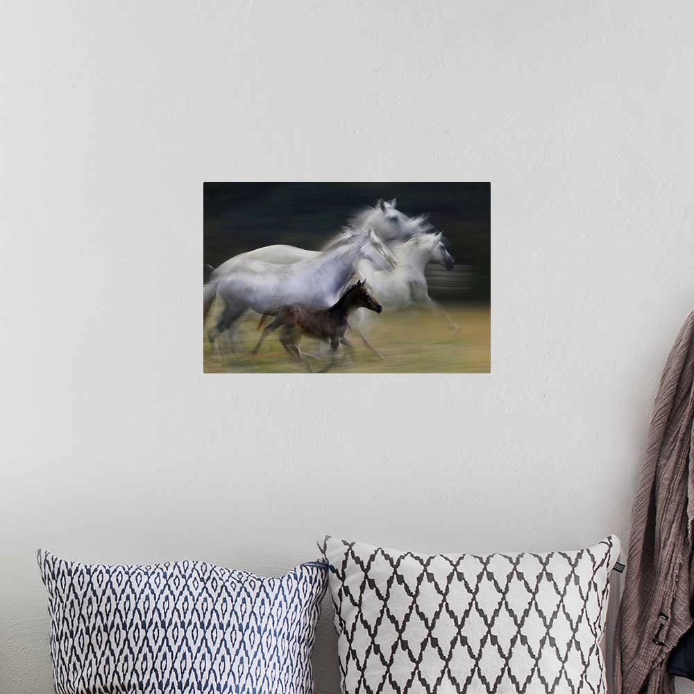 A bohemian room featuring A motion blurred photograph of a family of wild horses in full gallop.