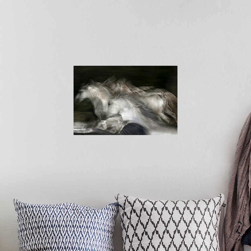 A bohemian room featuring Blurred motion image of a herd of white horses galloping in a field.
