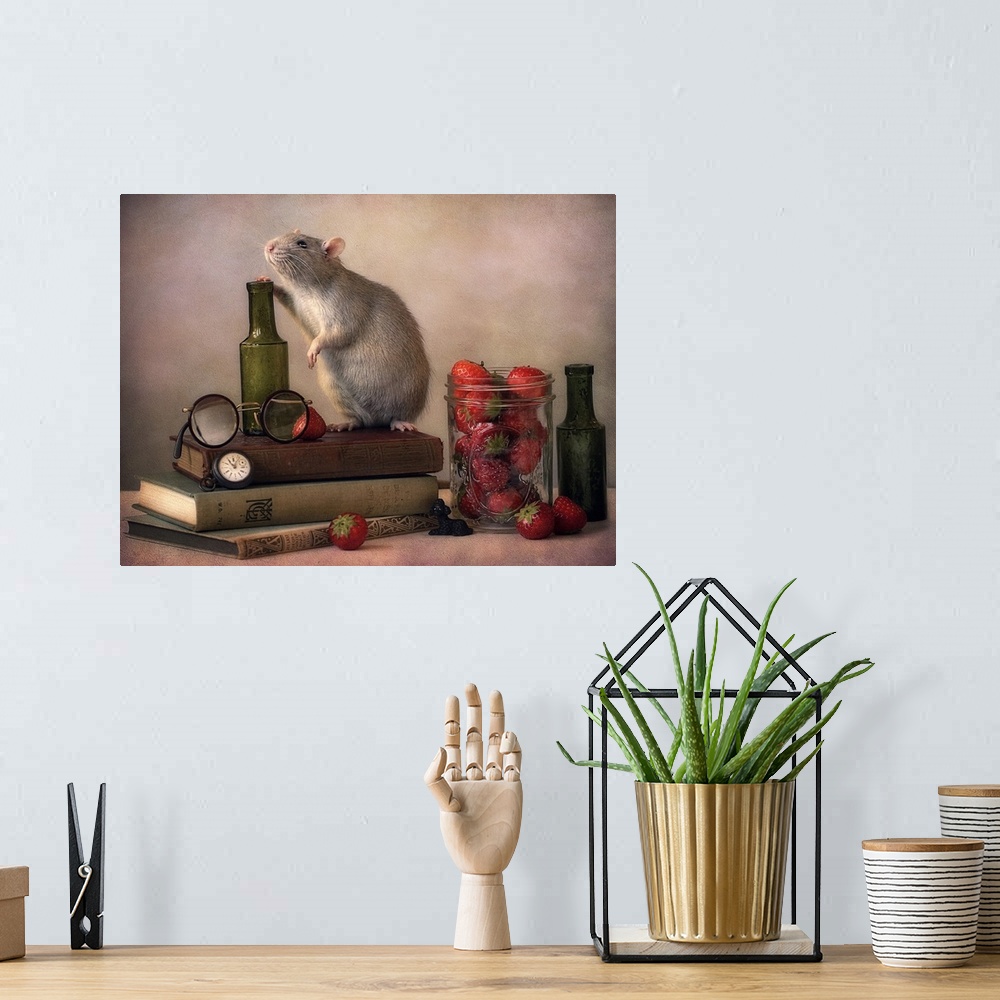 A bohemian room featuring A conceptual photograph of a mouse standing on a pile of books with small glass bottles and a jar...