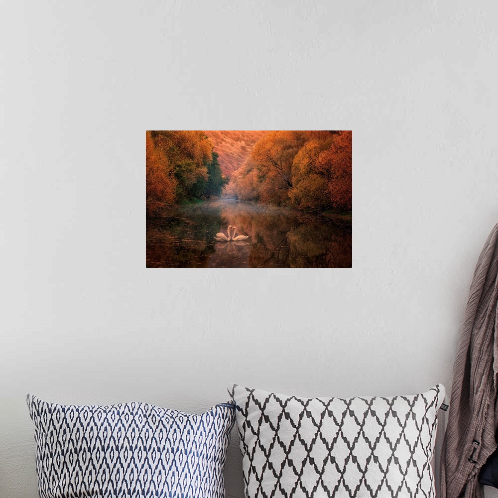 A bohemian room featuring Two swans meet face to face in a lake in an autumn forest.