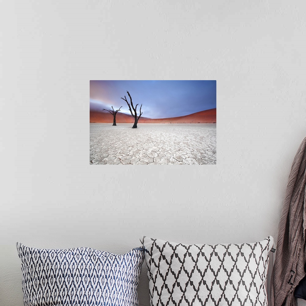 A bohemian room featuring Two barren trees in the desert landscape on a foggy morning, Sossusvlei, Namibia.