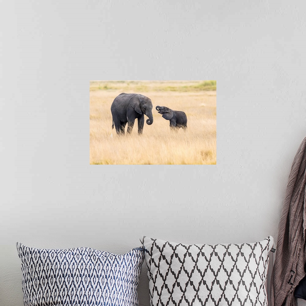 A bohemian room featuring Mother And Baby Elephants