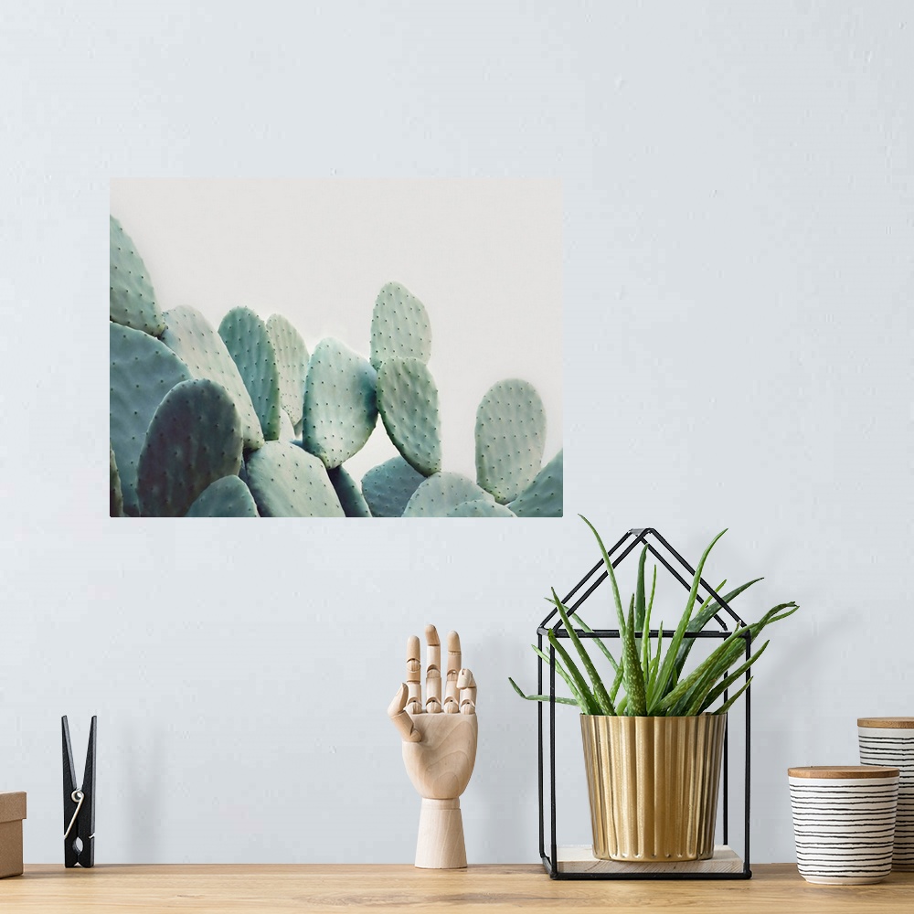 A bohemian room featuring Pastel Cactus