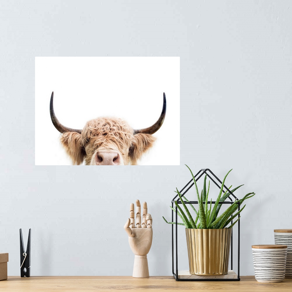 A bohemian room featuring Peeking Cow