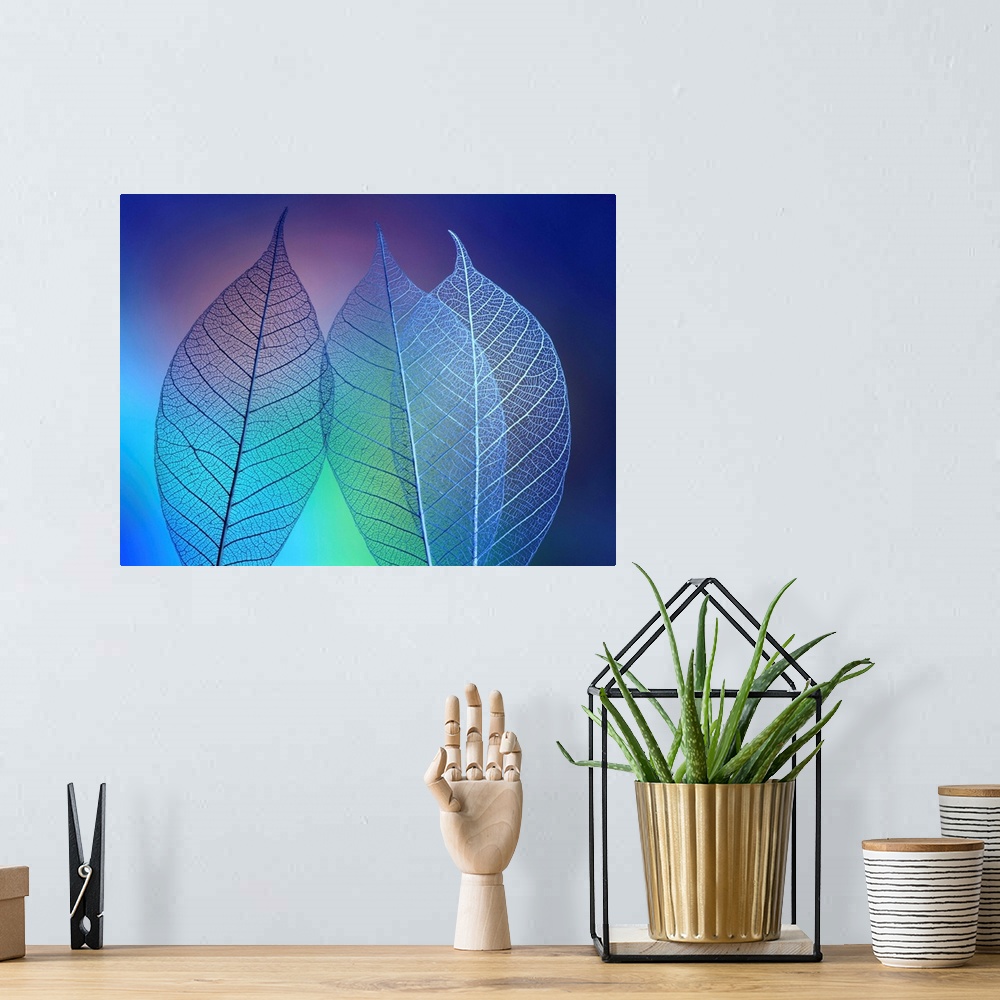 A bohemian room featuring Prismatic Leafs