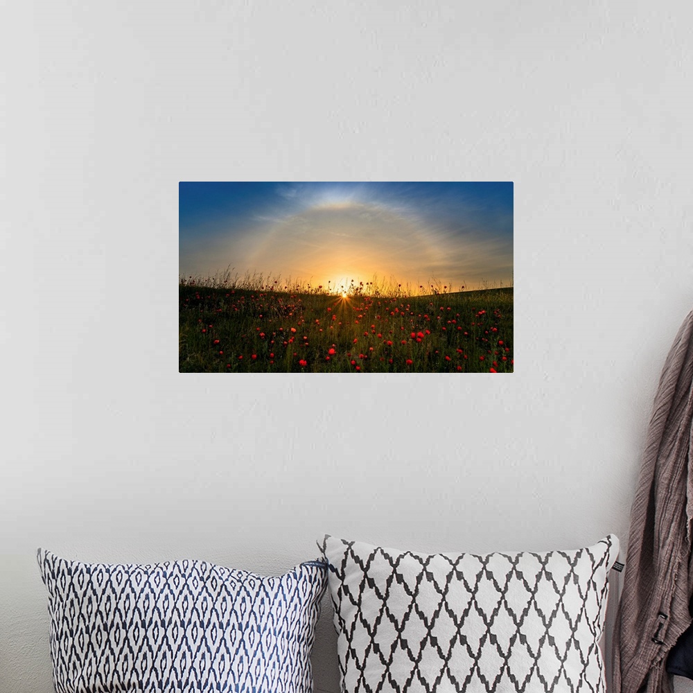 A bohemian room featuring Red Poppies And Sunrise