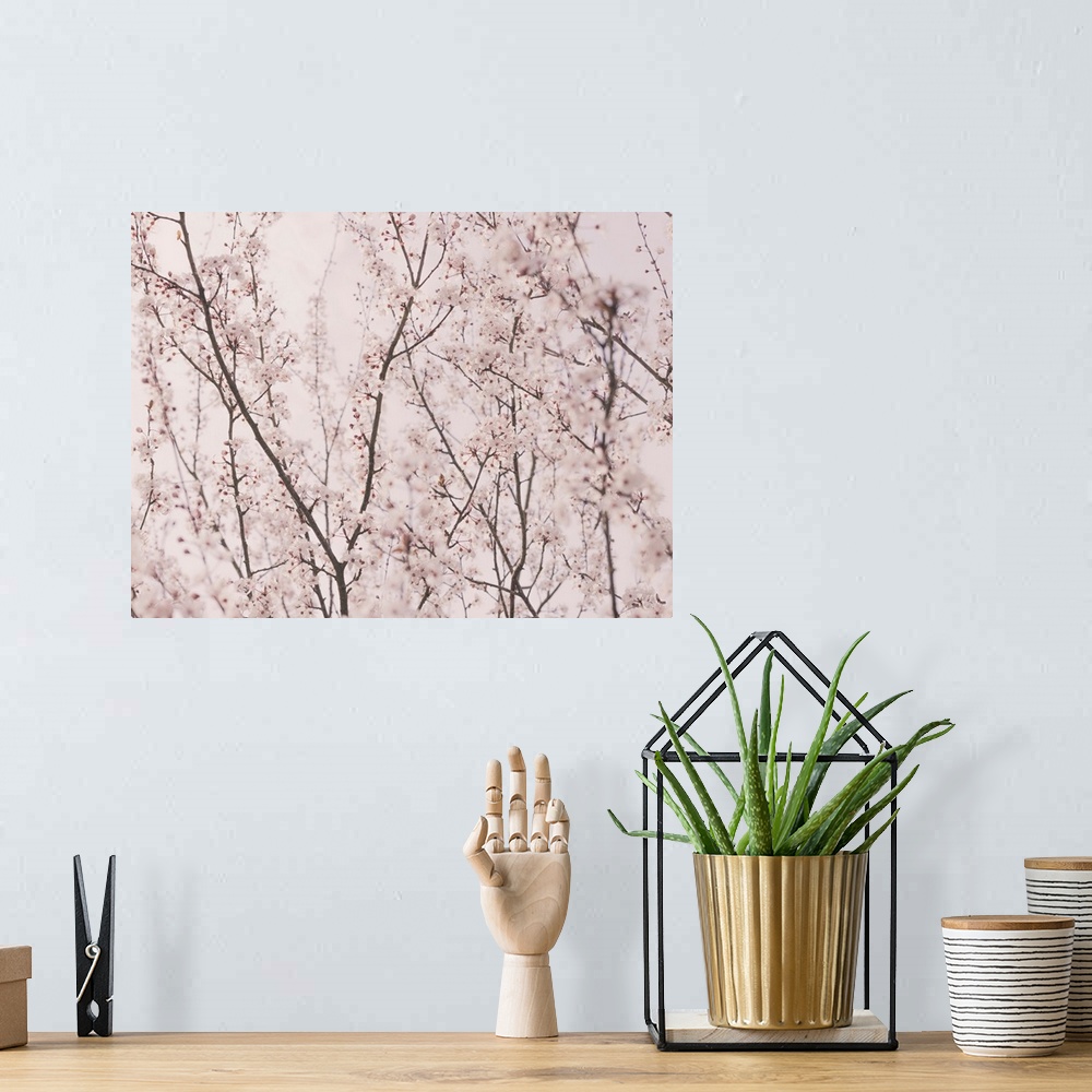 A bohemian room featuring Spring blossoms
