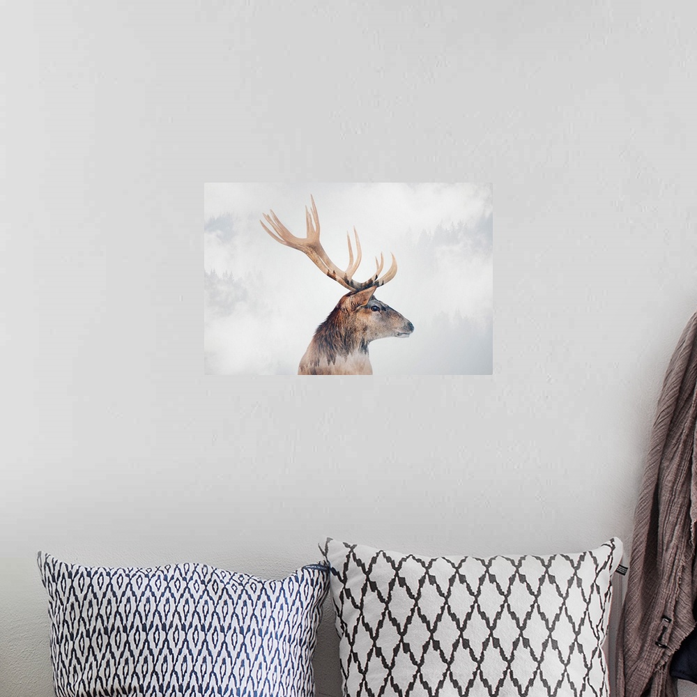 A bohemian room featuring Stag