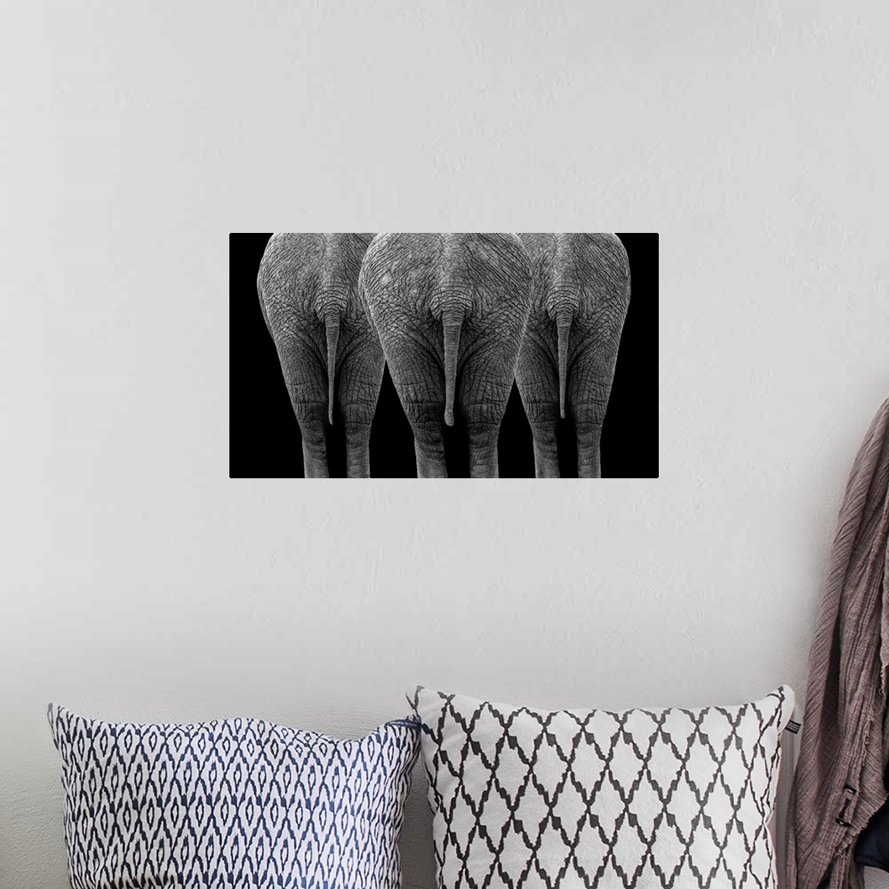 A bohemian room featuring The Elephants