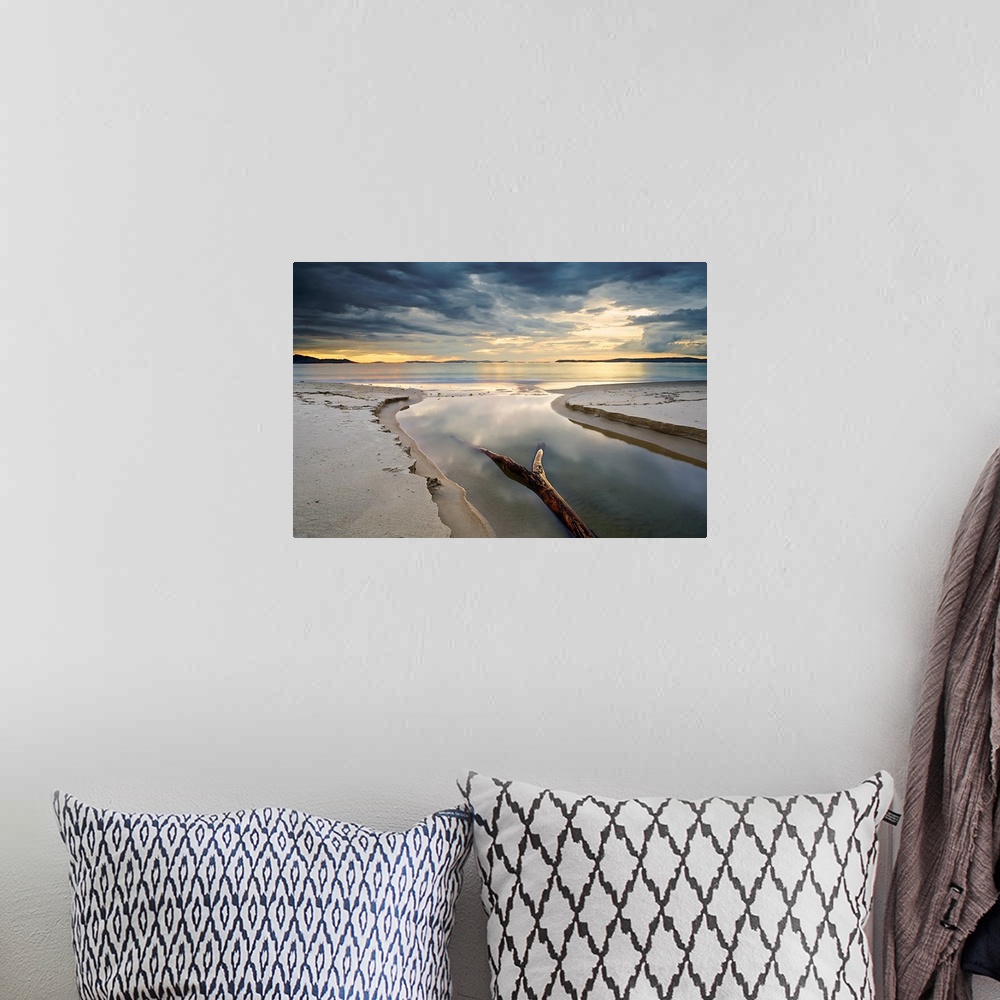 A bohemian room featuring Fine art photo of a sandy beach wit h driftwood and a cloudy sky in the morning.