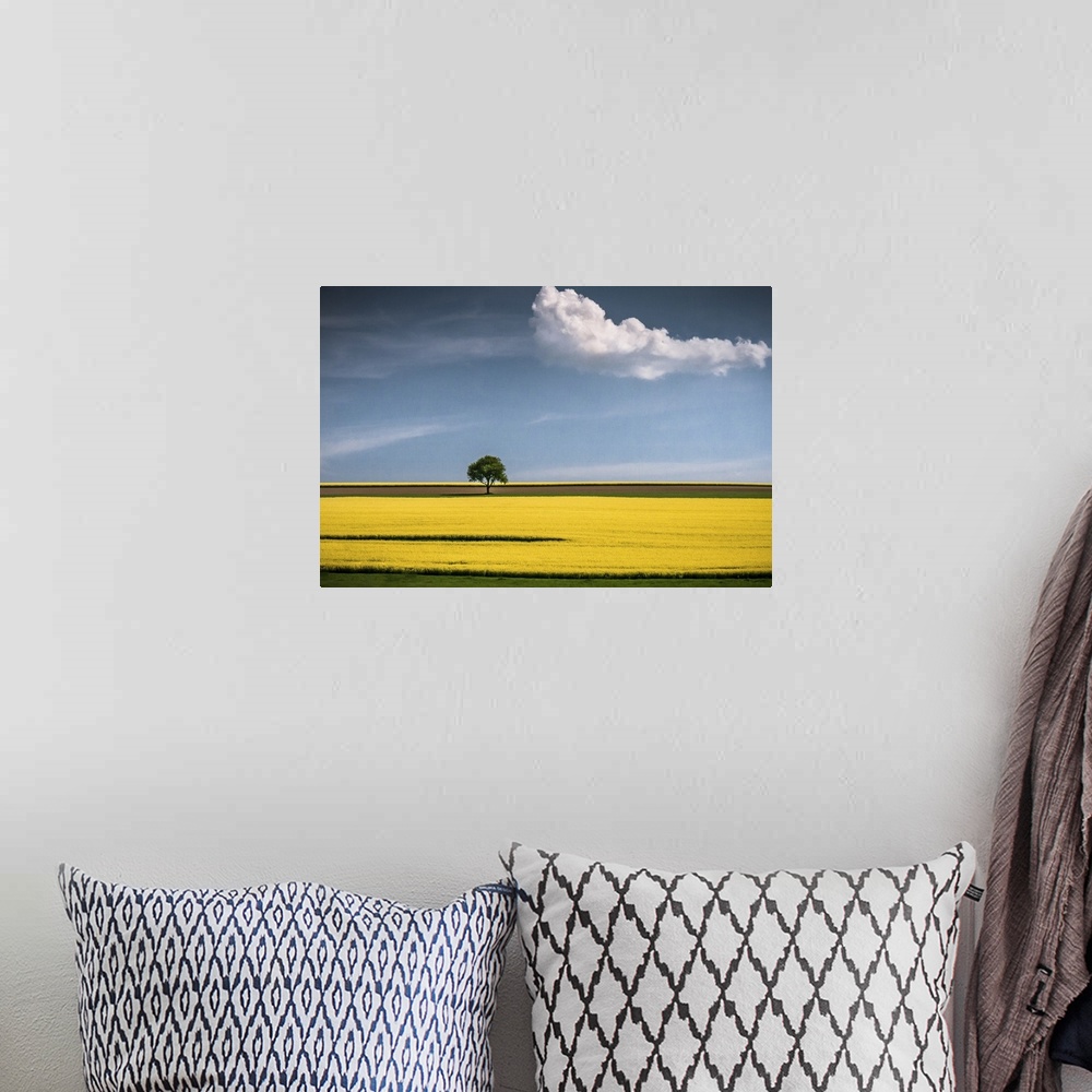 A bohemian room featuring A tree in the center of a bright yellow canola field with a lone cloud floating by.