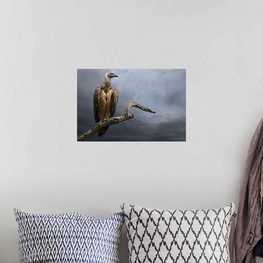 A bohemian room featuring A portrait of a vulture perched on a dead tree branch against a dark sky.
