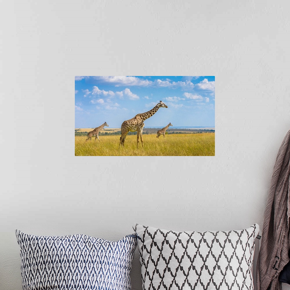 A bohemian room featuring Trio Giraffes
