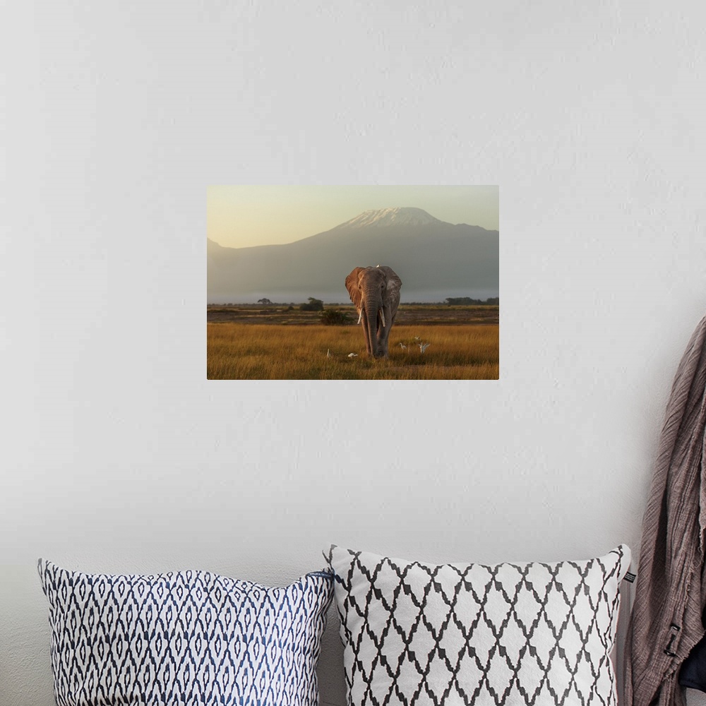 A bohemian room featuring Landscape photograph of the African savannah with an elephant walking with a bird on its back as ...