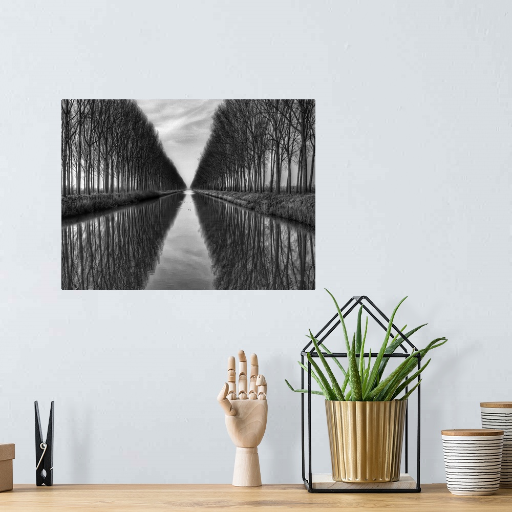 A bohemian room featuring Black and white image of trees lining a canal in Belgium.