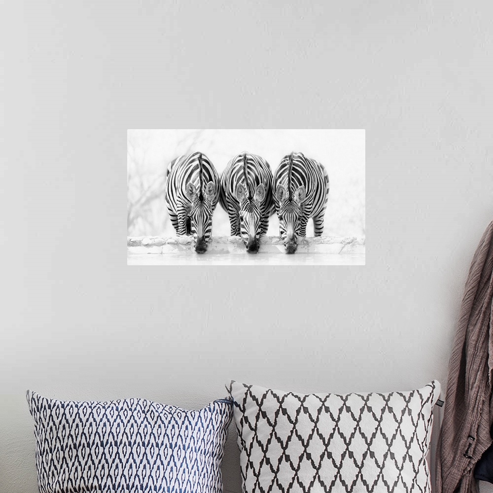 A bohemian room featuring Zebras