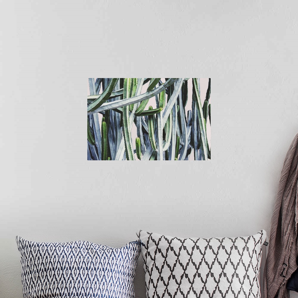 A bohemian room featuring Abstract image of several cactus plants with long branches intertwining.