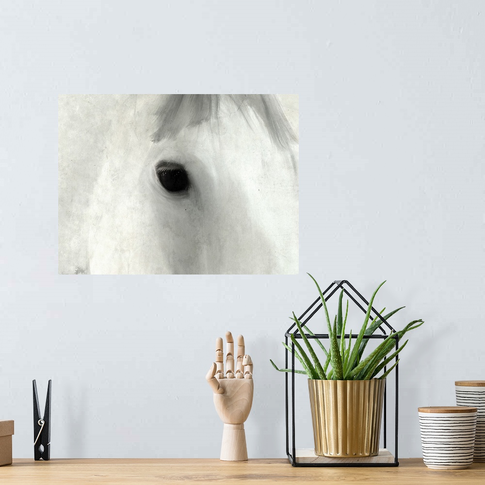 A bohemian room featuring Close up of the eye of a white horse.
