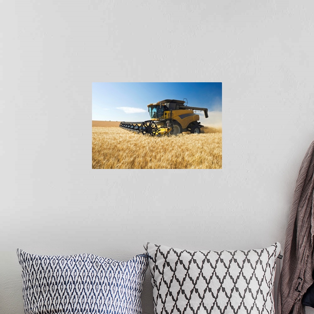 A bohemian room featuring A Combine Harvests Durum Wheat Near Ponteix, Saskatchewan, Canada