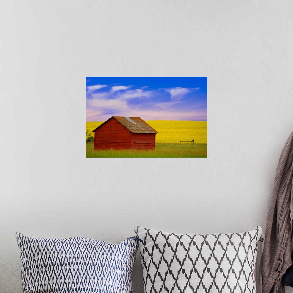 A bohemian room featuring A Red Farm Building Against A Canola Field