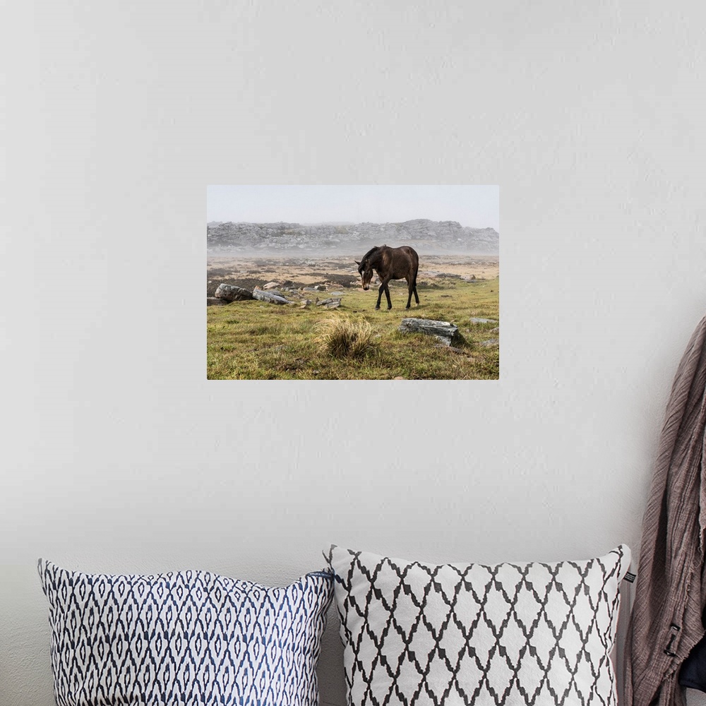 A bohemian room featuring A wild brown horse walking in a foggy field.