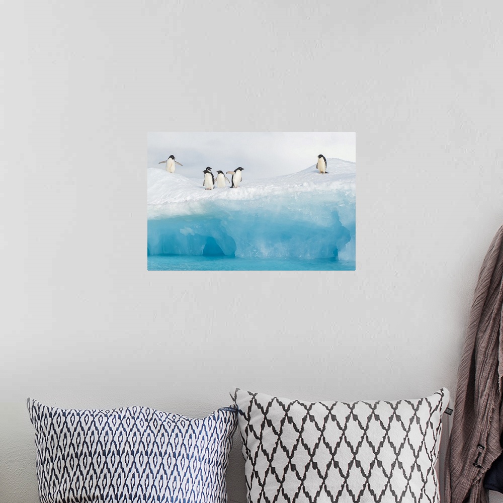 A bohemian room featuring Adelie penguins stand on an iceberg.