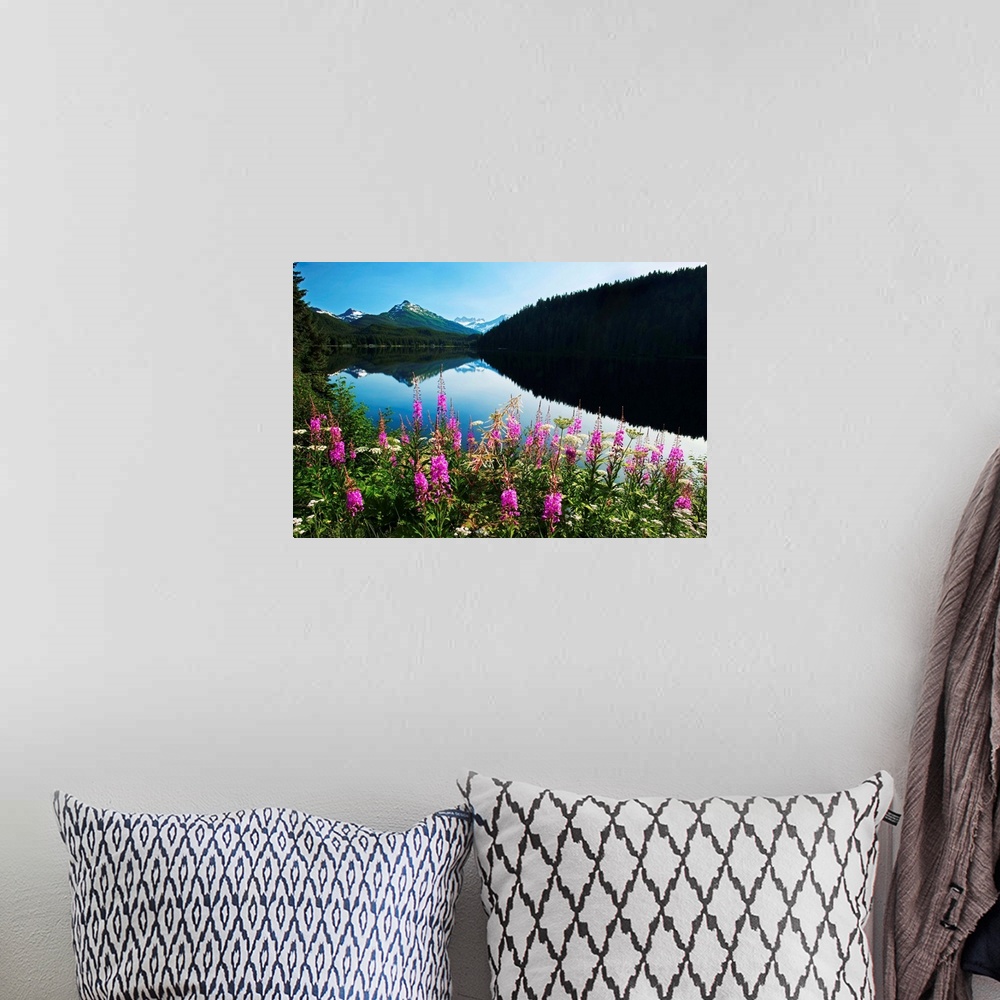 A bohemian room featuring Auke Lake On A Clear Day With Fireweed In The Foreground, Alaska, Summer