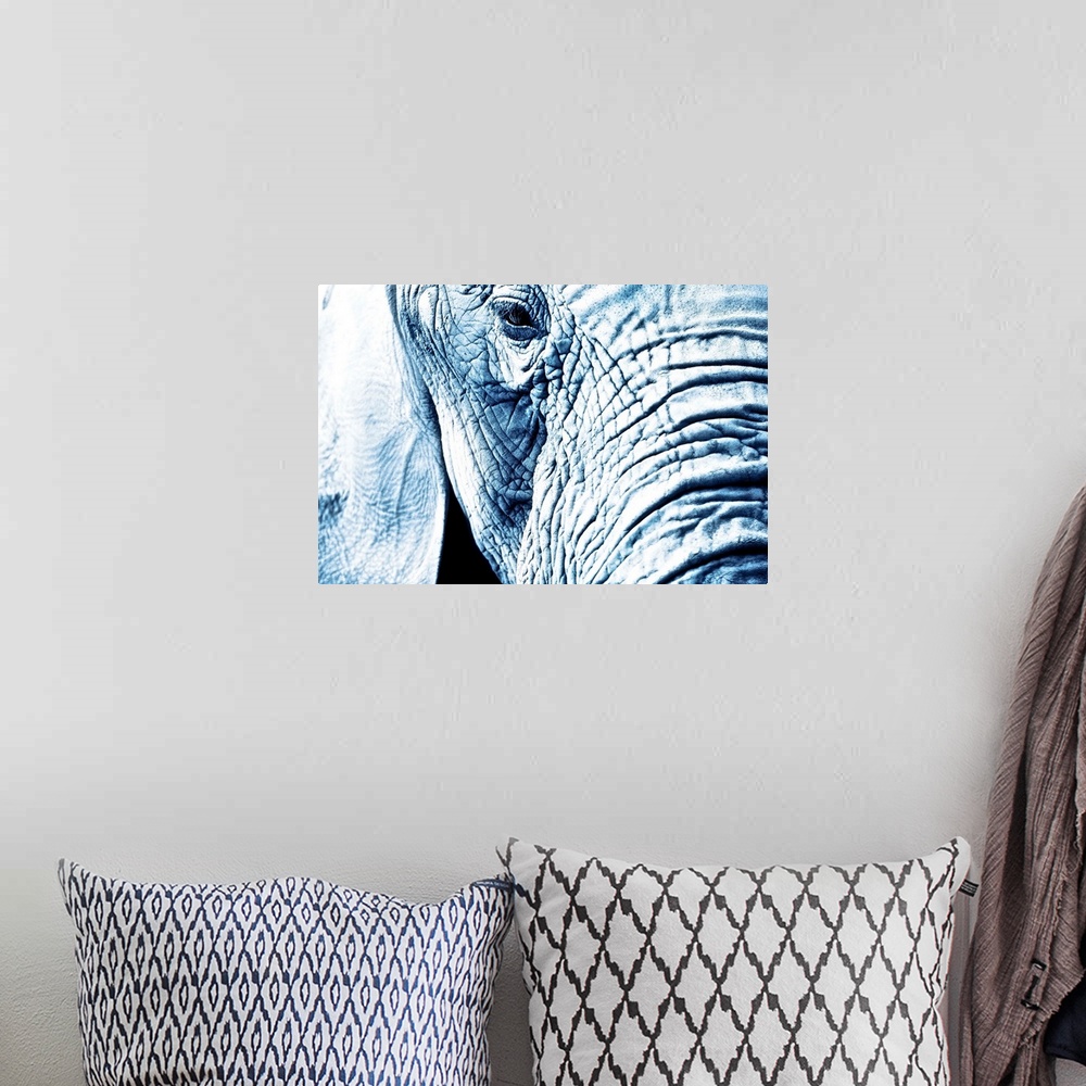 A bohemian room featuring Close Up Of An Elephant's Face
