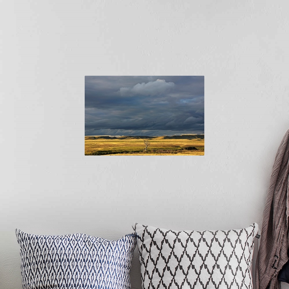 A bohemian room featuring Dead Tree At Dusk With Storm Clouds Overhead, Saskatchewan, Canada