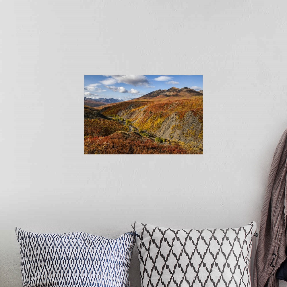 A bohemian room featuring The autumn colours ignite the landscape in colour along the Dempster Highway, Yukon. An amazing, ...