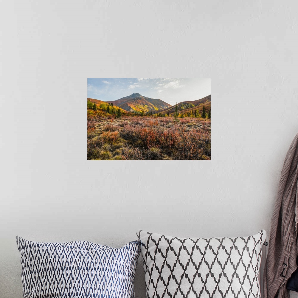 A bohemian room featuring The autumn colours ignite the landscape in colour along the Dempster Highway, Yukon. An amazing, ...