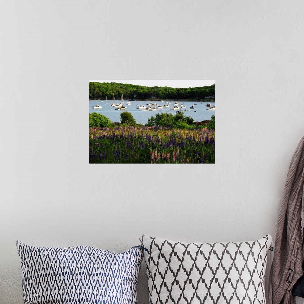 A bohemian room featuring Field of flowering lupines in front of a boat-filled Round Pond.