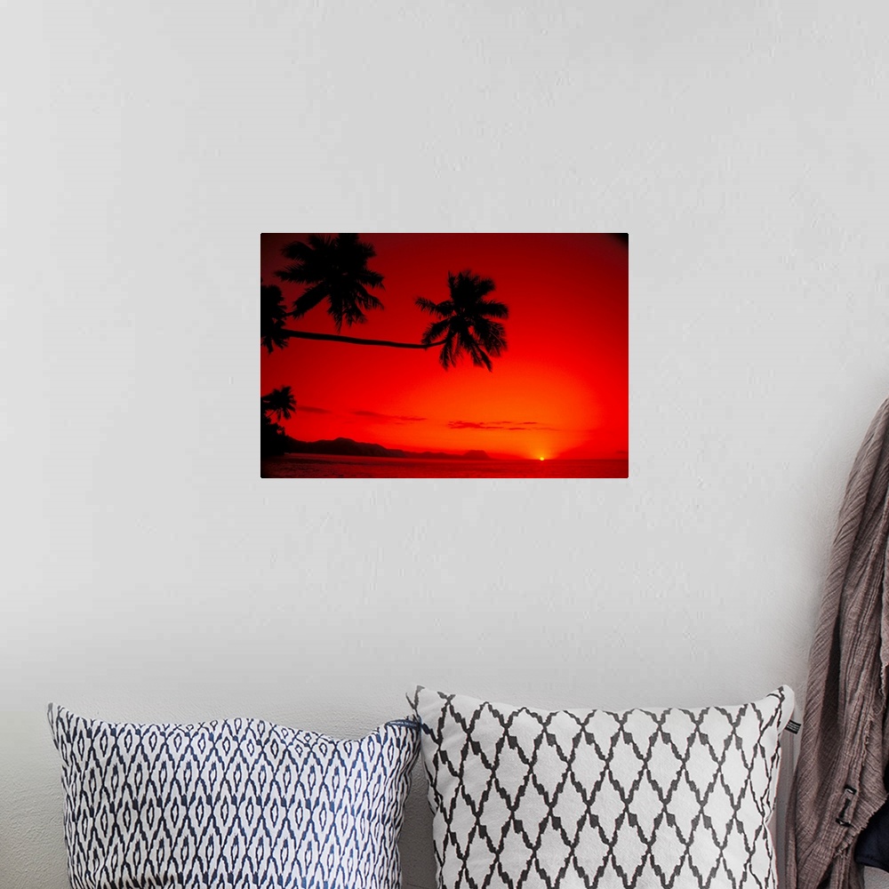 A bohemian room featuring Fiji, Kadavu Islands, Sunset Palm Silhouetted Along Coast With Red Orange Sky