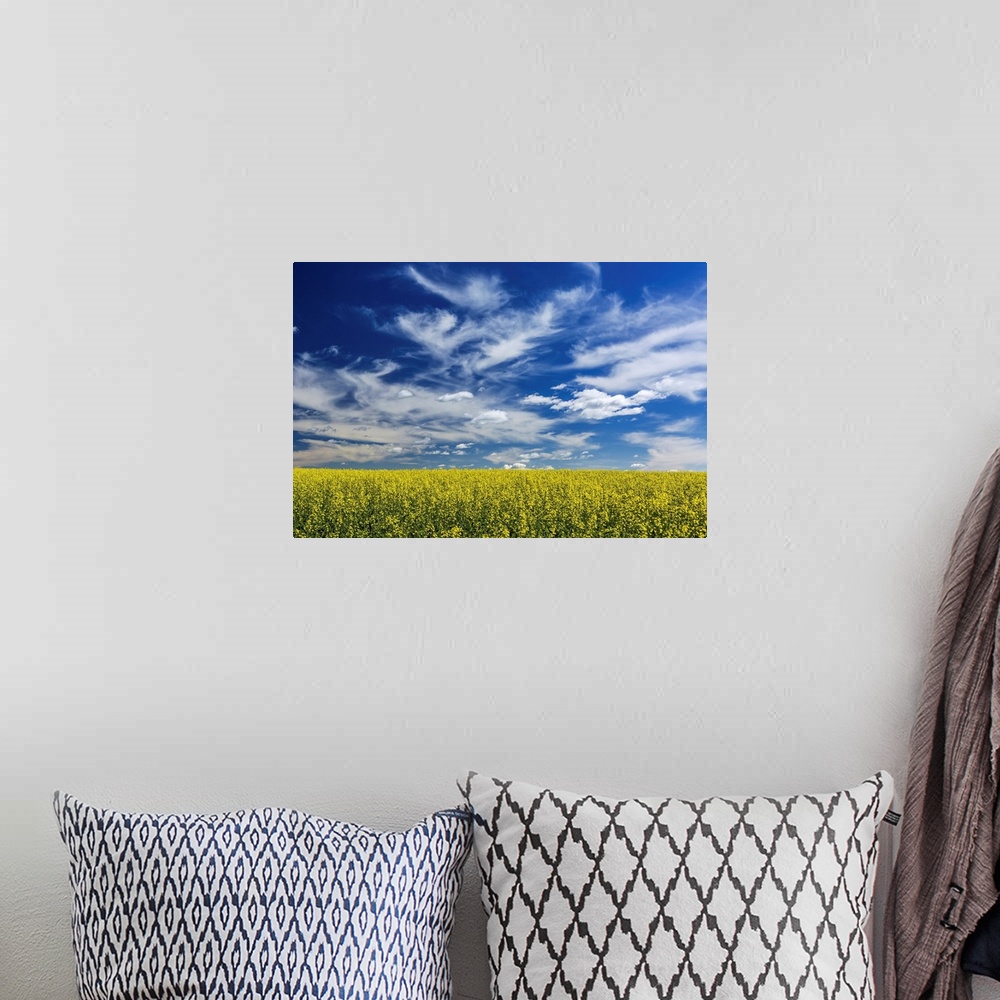 A bohemian room featuring Flowering canola field with dramatic white clouds and blue sky