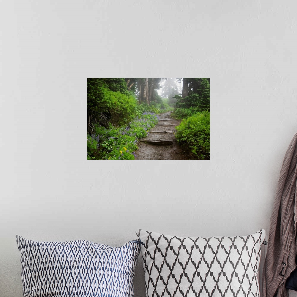 A bohemian room featuring Foggy Forest Path