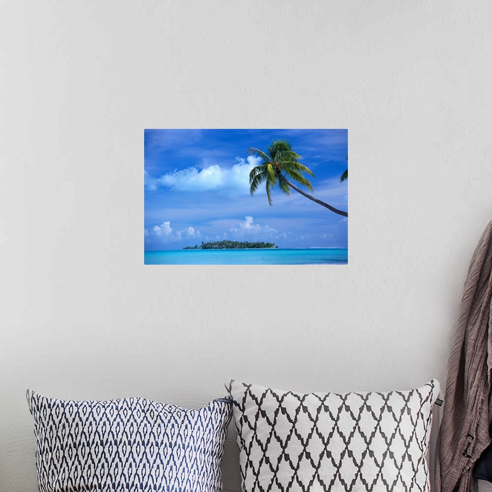 A bohemian room featuring French Polynesia, Bora Bora, Coastal Scene Palm In Foreground, Calm Ocean