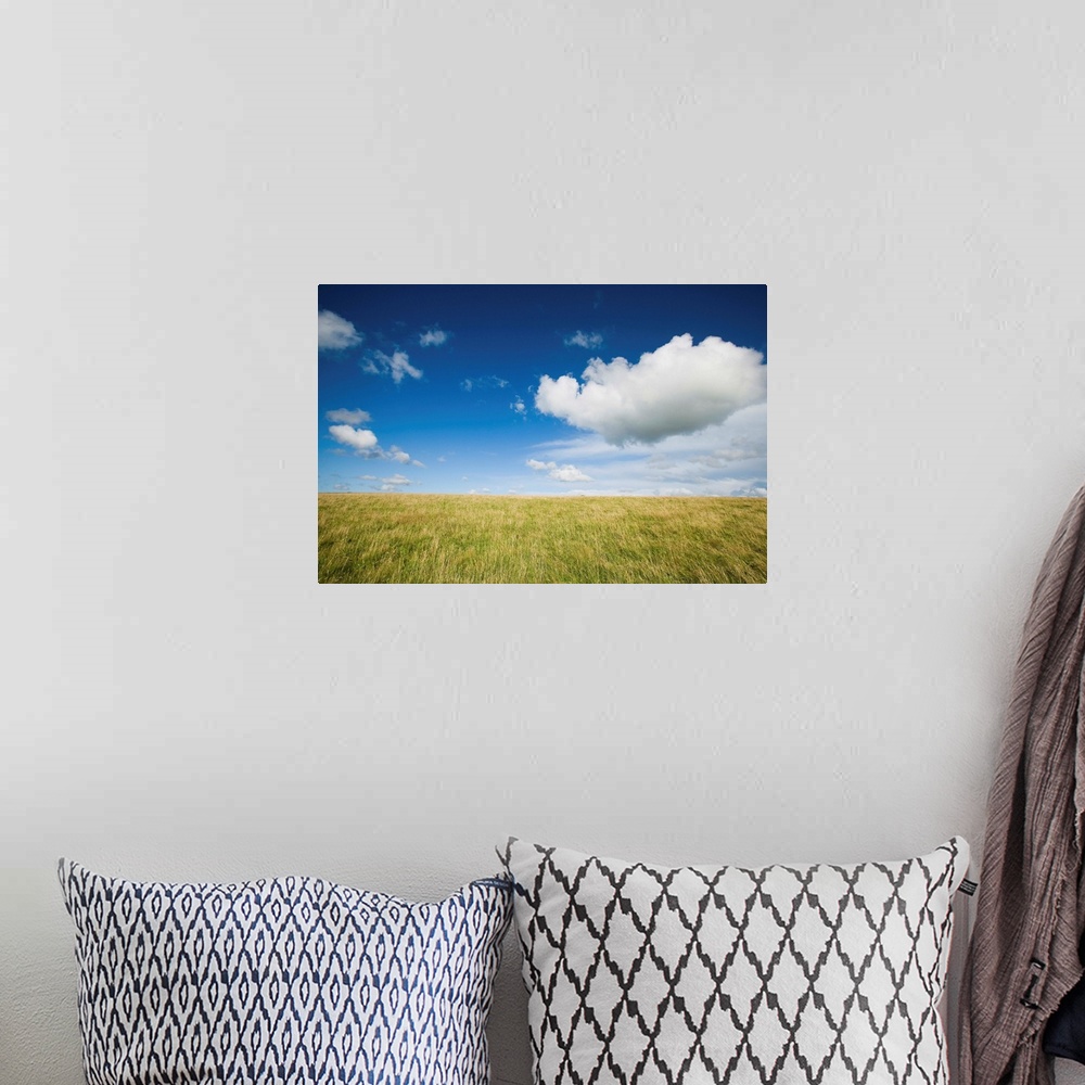 A bohemian room featuring Grassy Field On Hill With Blue Skies And Clouds