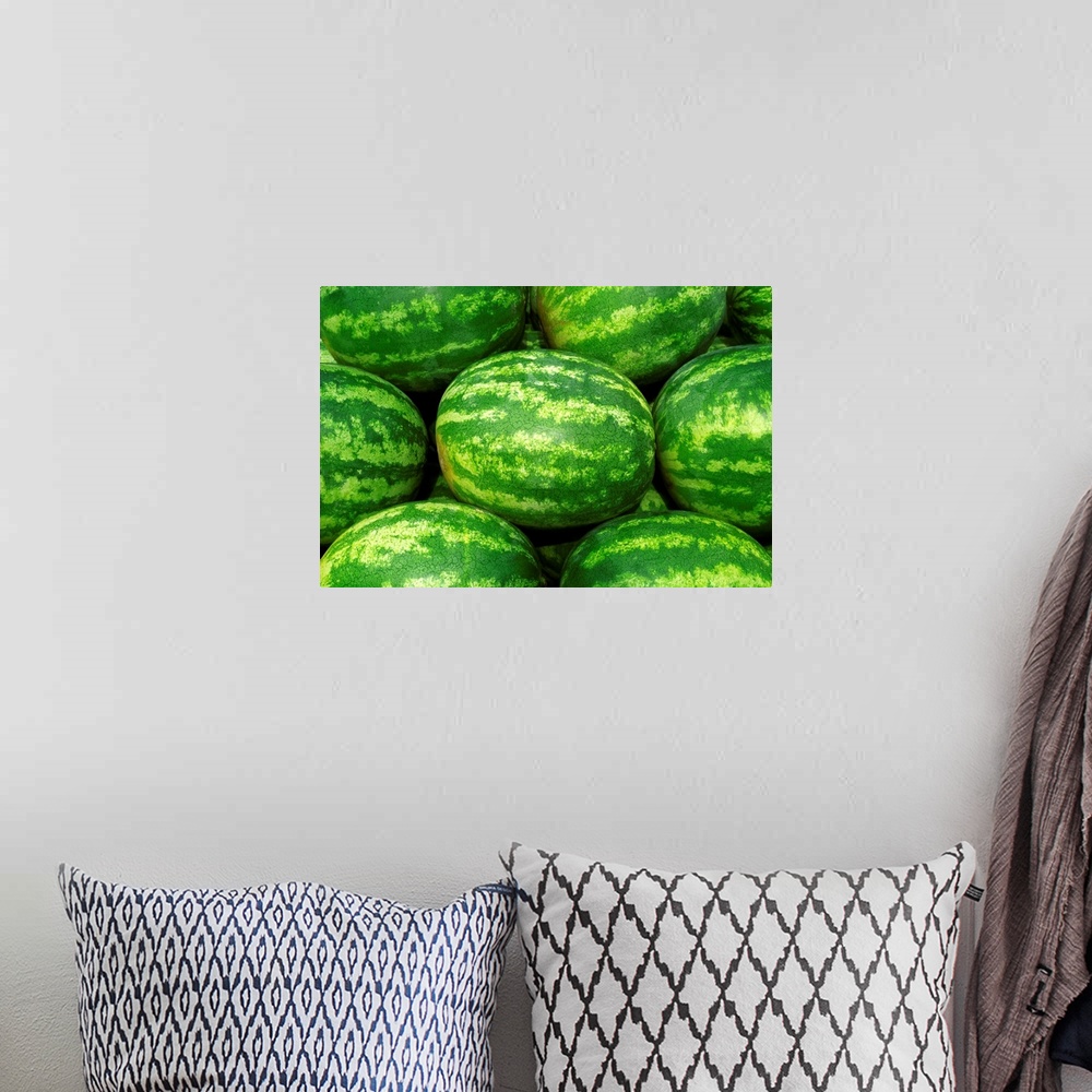 A bohemian room featuring Harvested mature seedless watermelons ready for shipping, Missouri