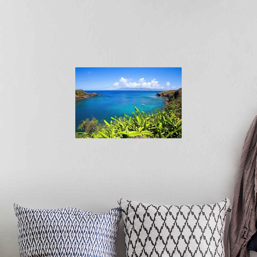 A bohemian room featuring Hawaii, Maui, Honolua Bay, Green Brush Overlooking Bright Blue Water