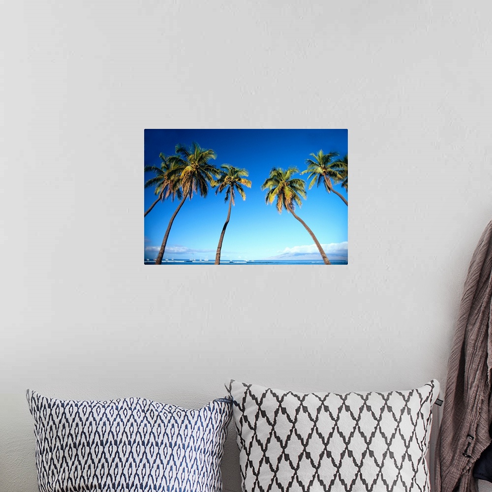A bohemian room featuring Hawaii, Maui, Lahaina, Coconut Palm Trees Along Ocean, Blue Sky